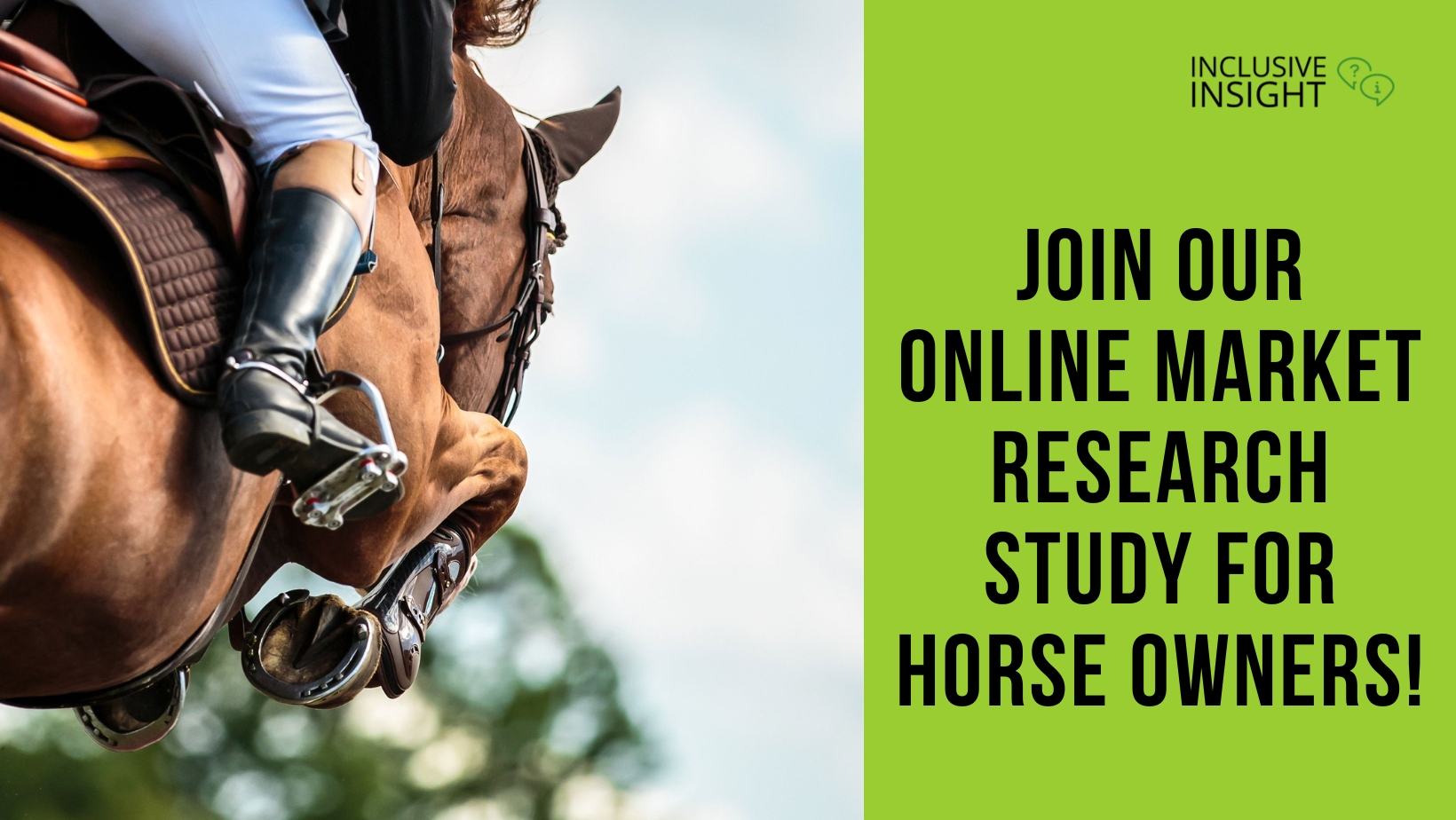 Copy of Inclusive Insights-OnlineIP Focus Group AB (2) horse owner market research